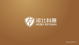 河北科原企業形象設計 平面設計的核心價值與實施策略